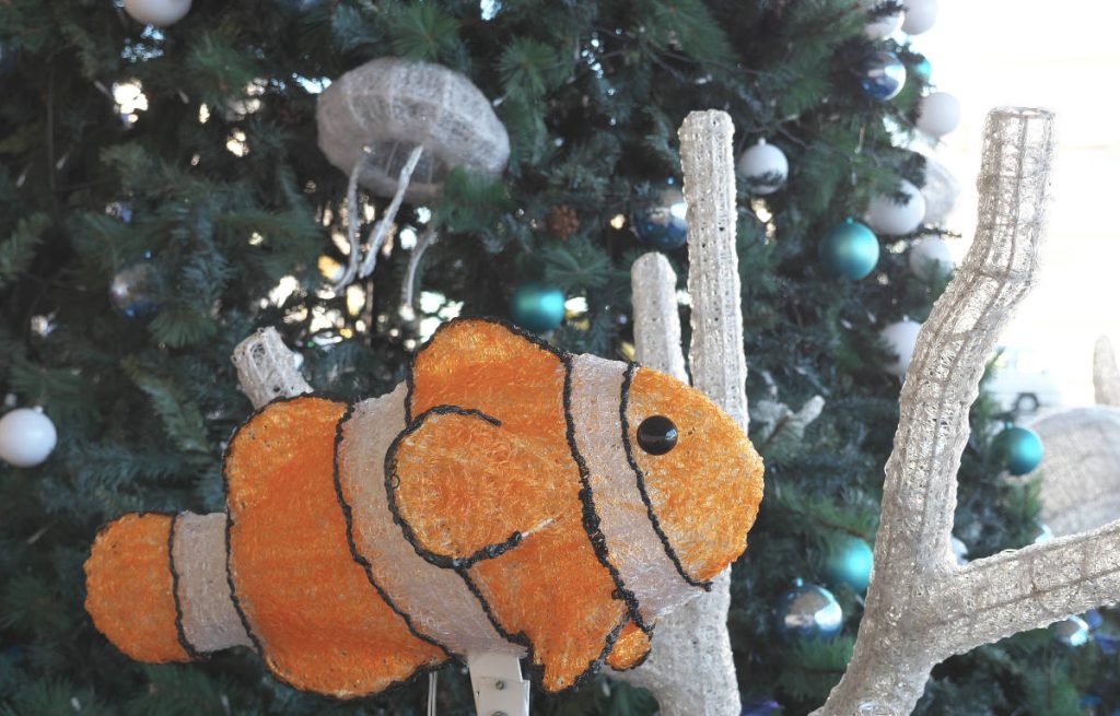 Pez en Árbol de Navidad en Lanzarote