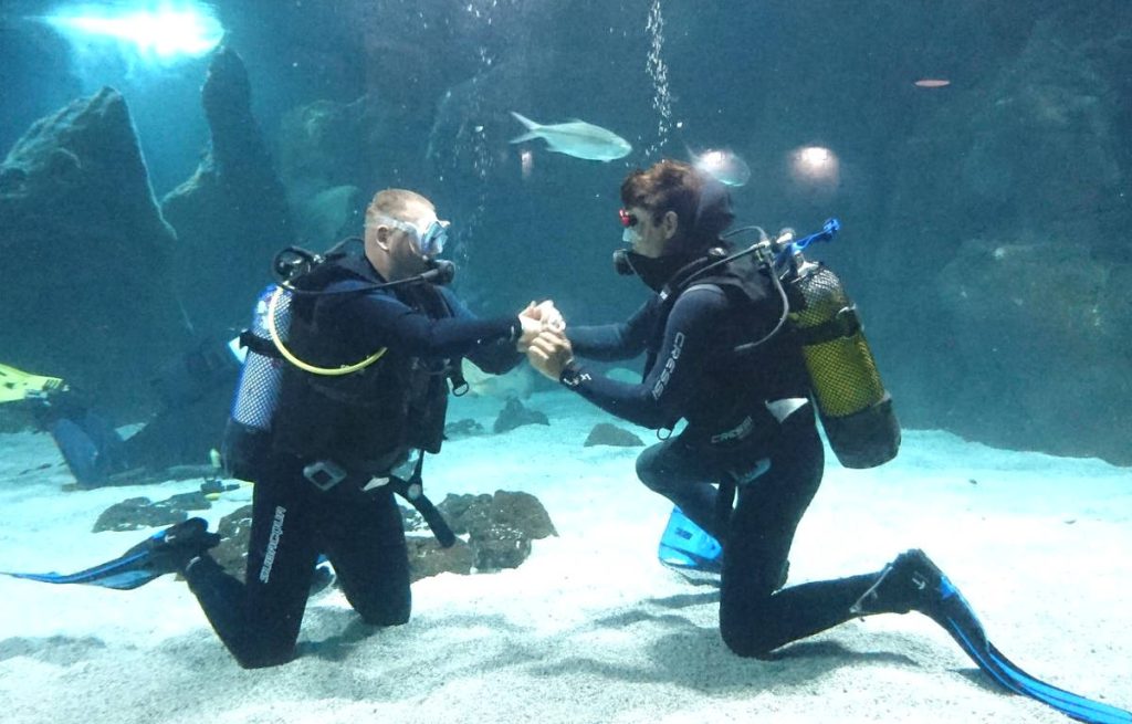 Turismo de buceo en canarias