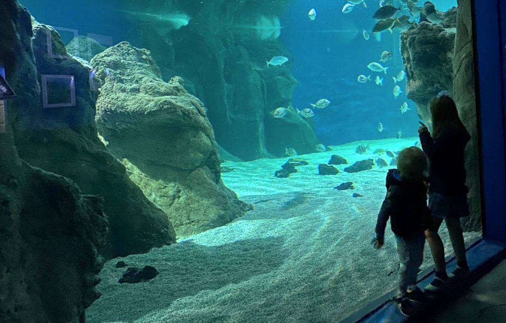 Niños disfrutando de aquarium lanzarote. La imagen de los niños no se percibe quienes son por privacidad.